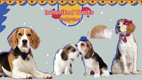 inherited and acquired traits