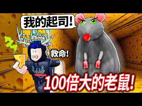 ROBLOX 你可以偷走100倍大巨型老鼠的起司嗎?! 找到所有顏色的鑰匙，打敗老鼠破逃脫好結局！【Cheese Escape - 有感筆電】