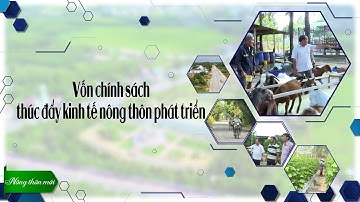 Phát triển nông nghiệp công nghệ cao gắn với xây dựng nông thôn mới