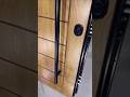 Smart Maple Pivot Door with Steel Core & Bolts