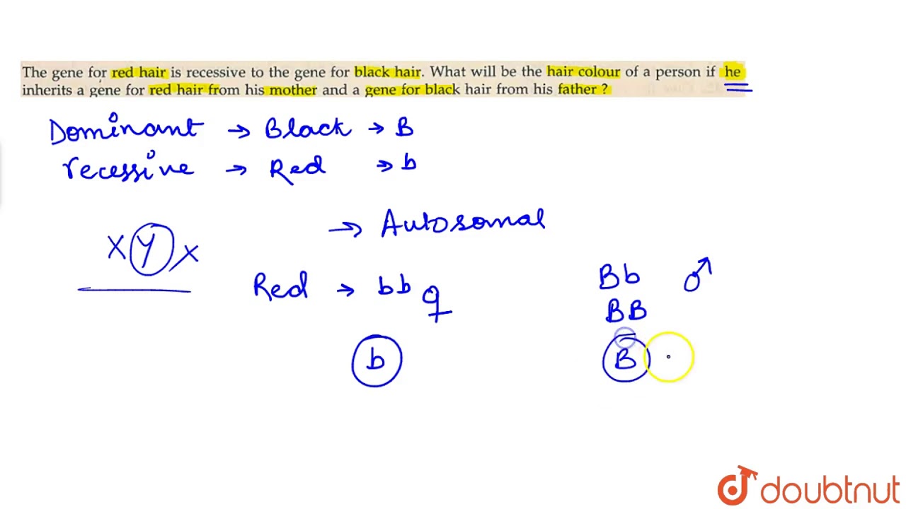 The gene for red hair is recessive to the gene for black hair. What