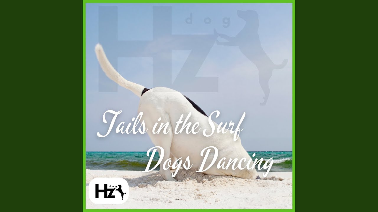 Puppy Zen - Sea Echoes