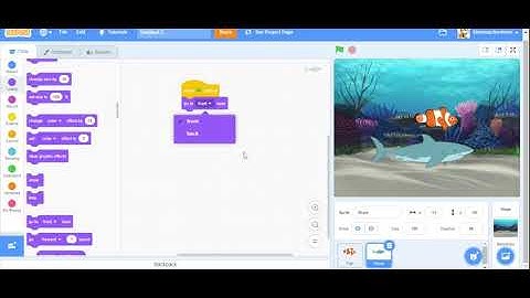 Layers (Moving Sprites to the Front or Back)