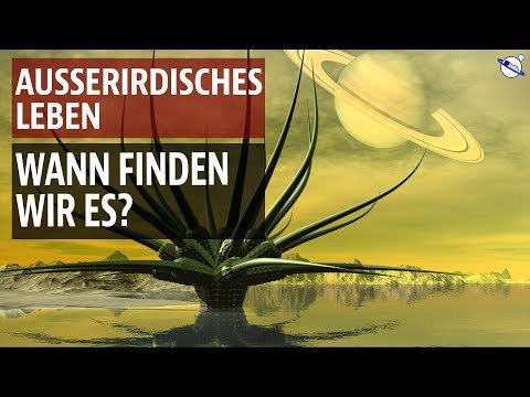 Video: Wann finden Tamborinmärkte statt?