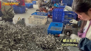 THEONE METAL , professional China hose clamp factory manufacturered  Worm Drive Germany Hose Clamps