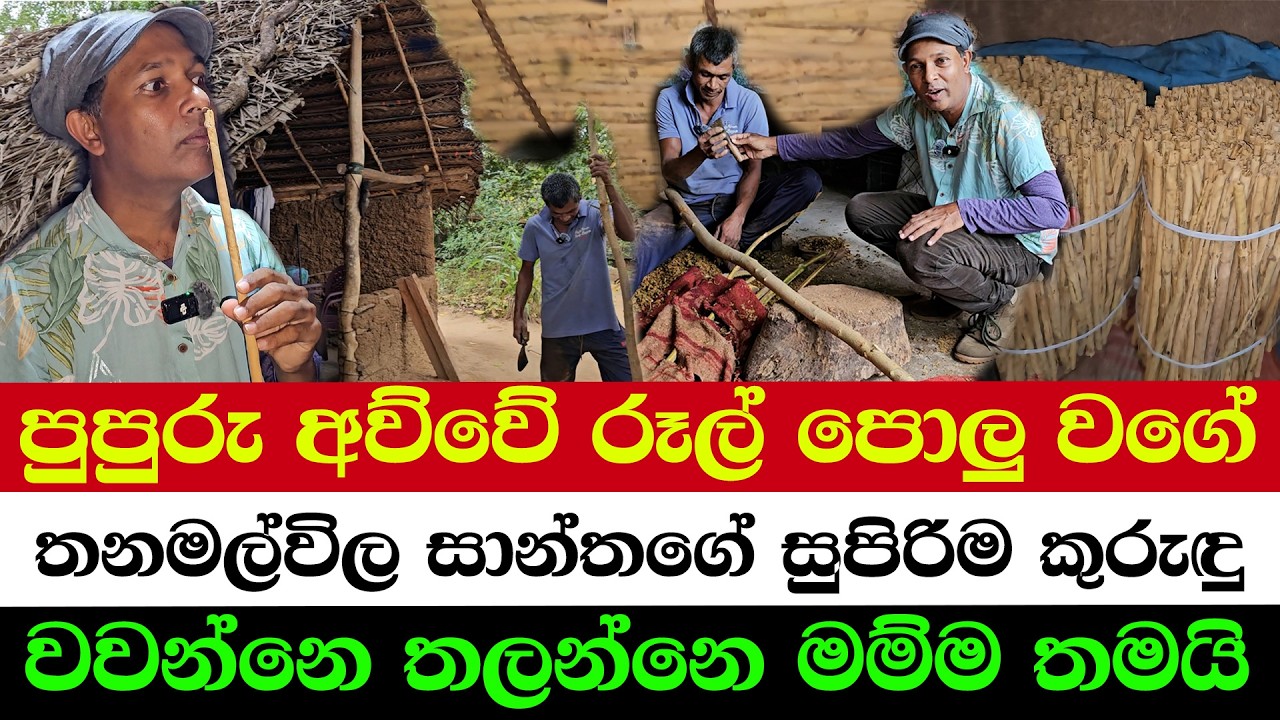 The Desert Cinnamon King | No Off Season — Money Every Month