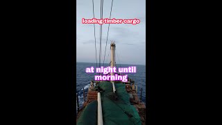 Process timber load cargo on board