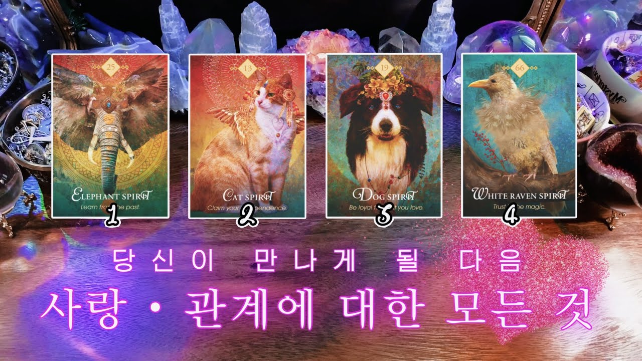 당신의 다음(또는 현재) 사랑 • 관계에 대한 모든 것 😻💘 타임리스 사이킥 타로 리딩 ⟡