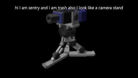 tds sentry in a nutshell