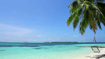 Jaké druhy růží můžete zastřihnout přímo na kmeni?