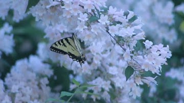 The Power of Honesty: Building Trust and Authentic Connections