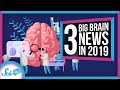 3 Big Things We Learned About the Brain in 2019