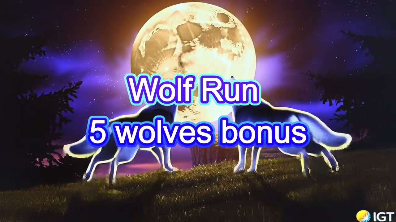 Wolf run 