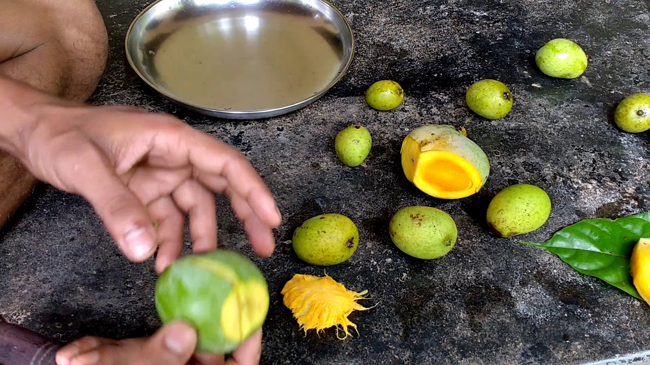 Natural wax coating on Mangoes Apples and other fruits which middle