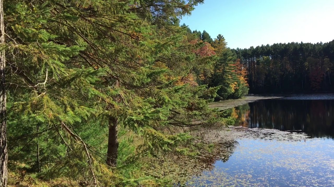 Own an Entire Lake Whitey Lake for Sale Oneida County Real Estate