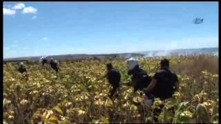 Tarlayı Ateşe Verdiler