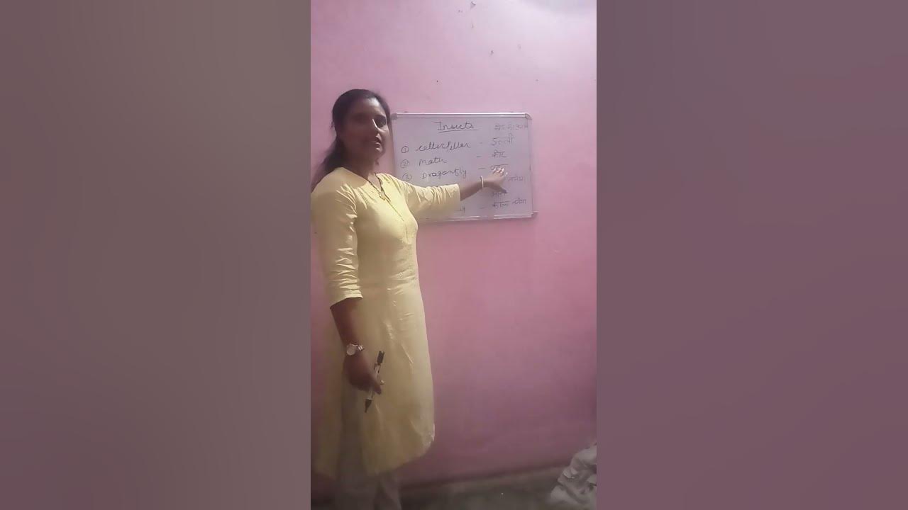 insects-names-youtube