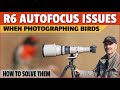 My R6 Autofocus Is Being Annoying - Any Ideas? Are You Experiencing Issues? Possible Solutions