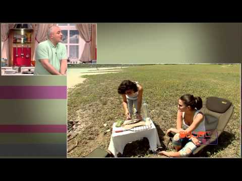 ჯგუფი „შავნაბადა\" შუადღე GDS-ზე