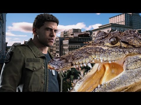 Alligators Are Going