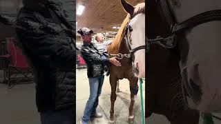 Update On Miss Barbie