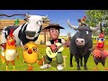 El Pollito y el Tractor de la Granja del Toro y del Pollito la Granja de la vaca🐓🐣🚜