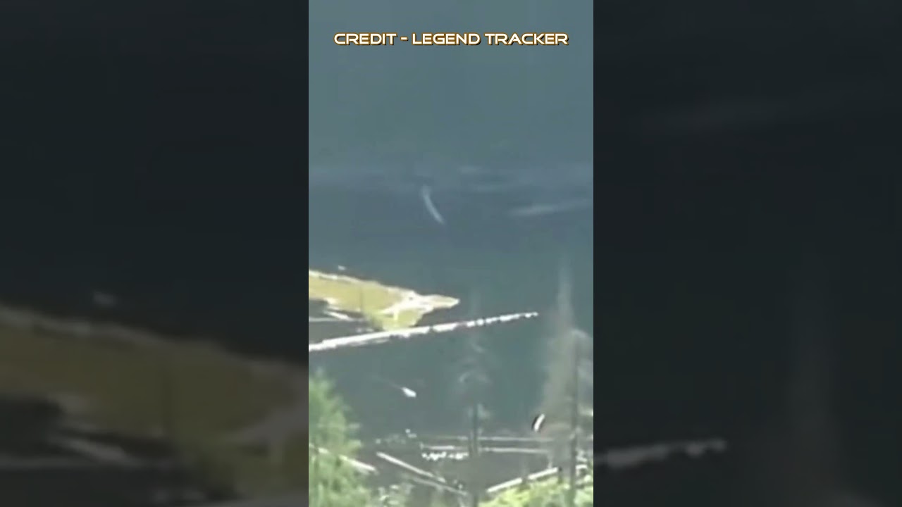 Mission, BC Infamous Sasquatch Clip! 