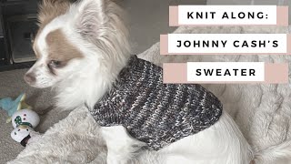 Small Breed Dog Sweater Knit Along