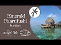 Emerald faarufushi exclusive look at allinclusive 5 star maldives luxury resort  angelfish travel