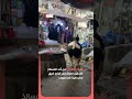 بقرتان هاربتان من أحد المسالخ تلاحقان المارة