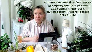 Диалог с Божиим Ангелом. 3-я книга Ездры 4 гл. Нам не дано знать! Войдите в покой и не мудрствуйте.