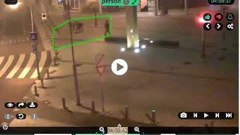 Person On Street Captured by Camect