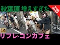 【秋葉原】リフレ探しに行ってみた！