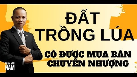 Đất trồng lúa có được mua bán chuyển nhượng I Phạm Văn Nam