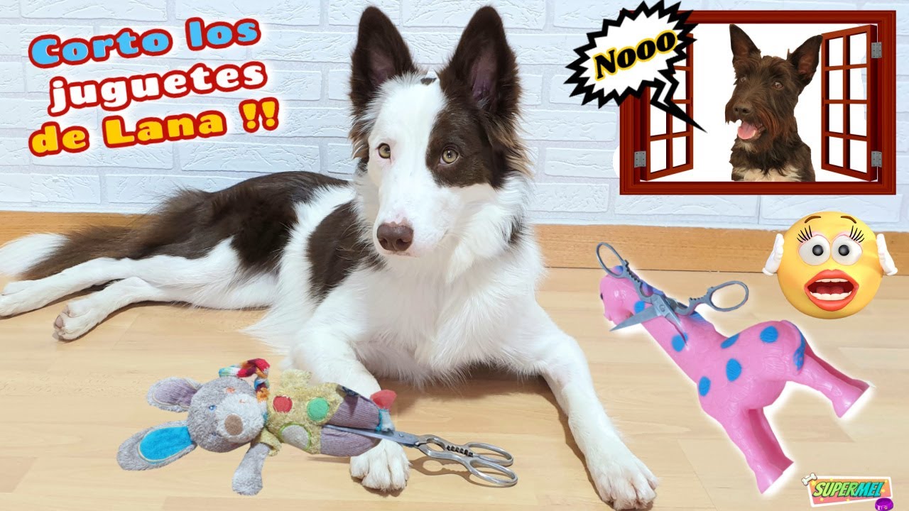 РАЗРЕЗАНИЕ И РАСКРЫТИЕ ШЕРСТЯНЫХ игрушек / Он очень злится 😱