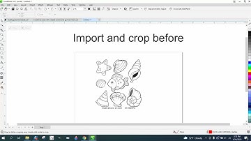 Corel Draw Tips & Tricks Crop something before you import it