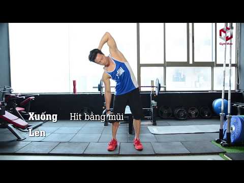 Video TẬP CƠ LIÊN SƯỜN, KHOANG BỤNG V- CUT , EO , CẦM TẠ... - youtube