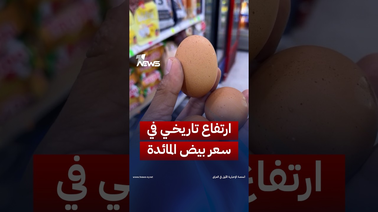 3 بيضات بألف.. محافظة المثنى تسجل ارتفاعا تاريخيا في سعر بيض المائدة