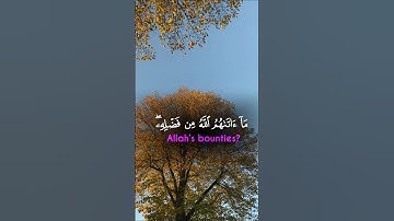 أم يحسدون الناس على ما أتاهم الله من فضله.. #ريحانة_قرآن #ياسر_الدوسري #قرآن #تلاوة_خاشعة #quran