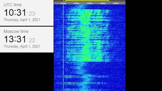 The Buzzer/UVB-76(4625Khz) April 1, 2021 10:30UTC Voice message