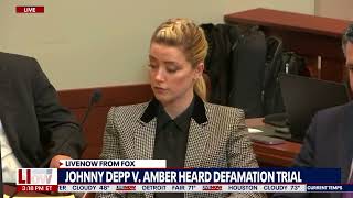 Amber Heard Lawyer Shreds New Johnny Depp Witness For Elon Musk Tweet Response To Depp Supporter