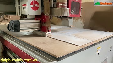 MÁY CNC TRUNG TÂM 2D OPTION TRỤC CƯA CẮT MỌI GÓC ĐỘ Woodmaster