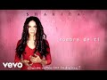 Shakira - Sombra de Ti (Official Audio)