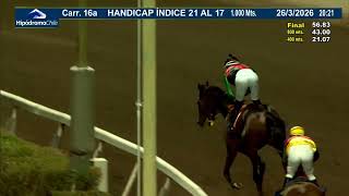 Vidéo de la course PMU PRIX VAMOS BIEN