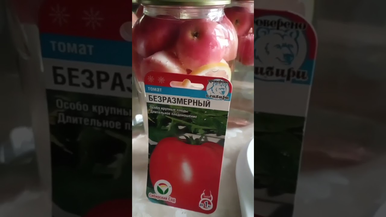 Томат Безразмерный 🍅💪 - YouTube