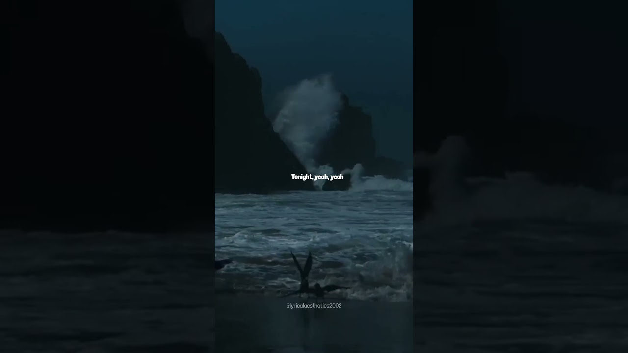 Watch Into Your Arms | Witt Lowry | Ava Max | Lyrics | Lyrical Aesthetics | #lyrics #intoyourarms #music on YouTube Watch Into Your Arms | Witt Lowry | Ava Max | Lyrics | Lyrical Aesthetics | #lyrics #intoyourarms #music on YouTube