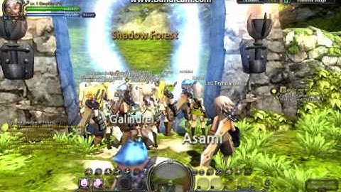 DragonNest Bug