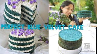 🎂ഇതൊരു അടിപൊളി കേക്ക് തന്നെയാണേ supertasty blue velvet cake#perfect RECIPE#Kattoorkafe SIGNATURE# screenshot 5