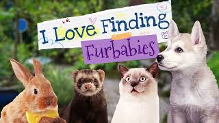 [Tiny Little Lion] I Love Finding Furbabies