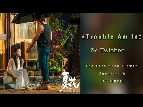 Twinbed - (Trouble I am In) 